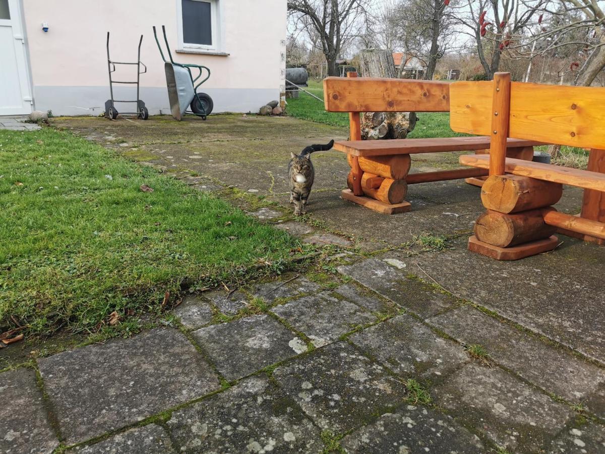 Willa Wellness Oase Auf Dem Land Buttstadt Zewnętrze zdjęcie